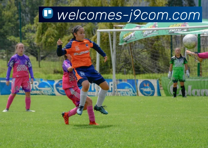 J9COM公司官网平台生态图